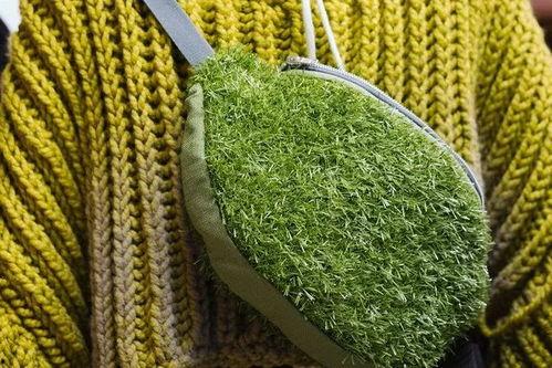 青青青草国产视频,国产视频中的青春记忆与成长轨迹